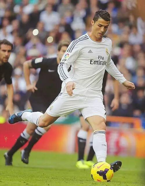 支不可忽视 支不可忽视